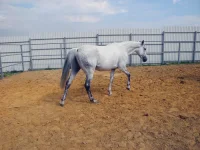DSCN6272.webp