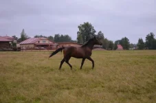 vcTsT7Zd8TQ.webp