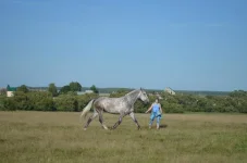 pDhQChMum2c.webp