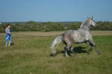 dPXAtIL9aOM.webp