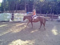 31082013220.webp