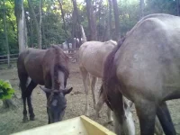 31082013221.webp