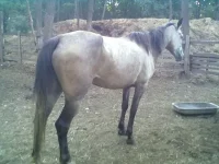 31082013225.webp