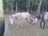 31082013228.webp