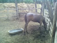31082013227.webp
