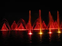 IMG_0445.webp