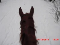 CIMG0059.webp