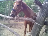 01092013231.webp