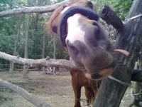 01092013230.webp