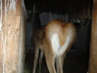 DSC03701.webp