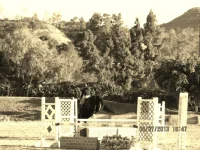 Caribenhoe 9.webp