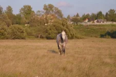 cuiZmxe5ELQ.webp