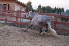 hX6Qg9Cp8s4.webp