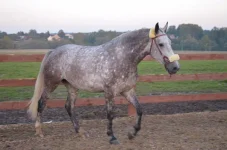 n2_liaZ2qsA.webp