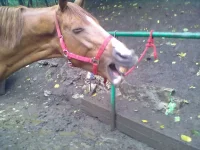 11092013258.webp