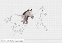 299153-4b930-71562255-m750x740-udf62f.webp