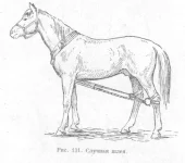 sluchnaya-shleya-141.webp