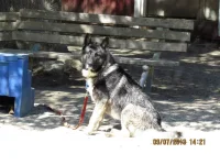 Otto 2.webp