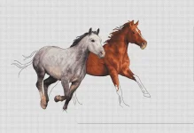 7zHWDKHb81c.webp