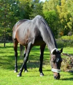 pK5IrT0OaTs.webp