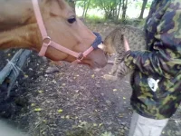 14092013267.webp