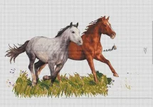 7BP0O8RXsv8.webp