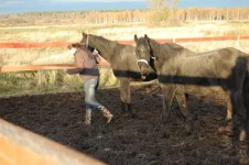 ruEXmICidpo.webp