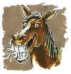 1.webp