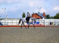 DSCN6324.webp