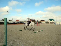 DSCN6345.webp