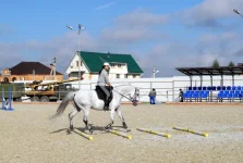 DSCN6371.webp