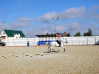 DSCN6373.webp