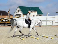 DSCN6374.webp