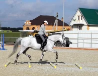 DSCN6381.webp