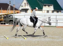 DSCN6384.webp