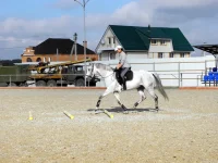 DSCN6385.webp