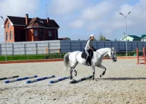 DSCN6393.webp