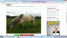 Безымянный2.webp