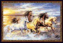 12.webp