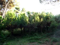 IMG_0465.webp