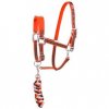 var_12998_headcollar_and_rope_favouritas_hv_polo_flame_cob_size.jpg