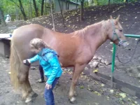 21092013290.webp