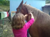 21092013294.webp