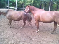 21092013296.webp
