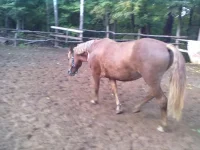 21092013297.webp