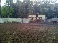 21092013302.webp