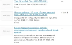 Безымянный.webp