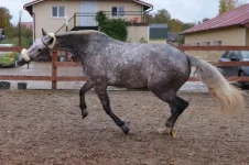 2oci0CJCt1w.webp