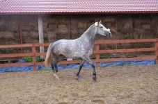 t3UJnS9GR54.webp