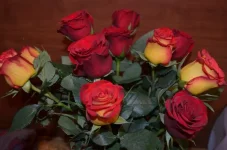 8kXv6YWfPOE.webp